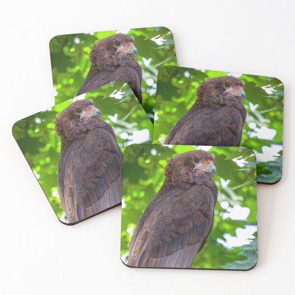 Item preview, Common Buzzard Portrait designed and sold by Daniela Pintimalli.