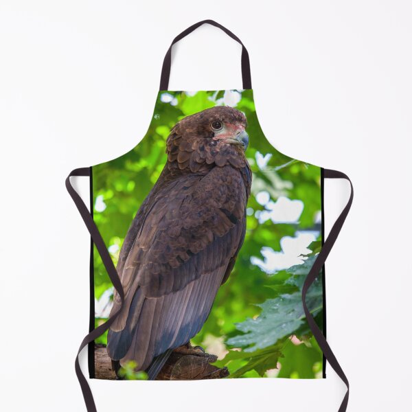 Item preview, Common Buzzard Portrait designed and sold by Daniela Pintimalli.