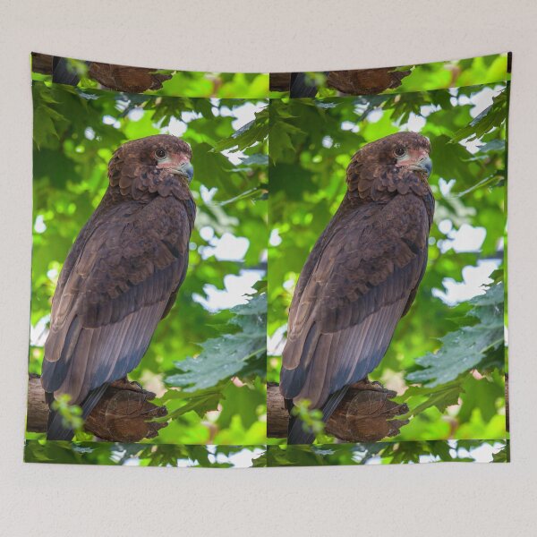 Item preview, Common Buzzard Portrait designed and sold by Daniela Pintimalli.