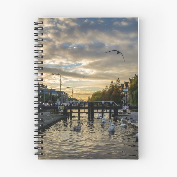 Item preview, Swans on the Grand Canal designed and sold by PersiPrints.