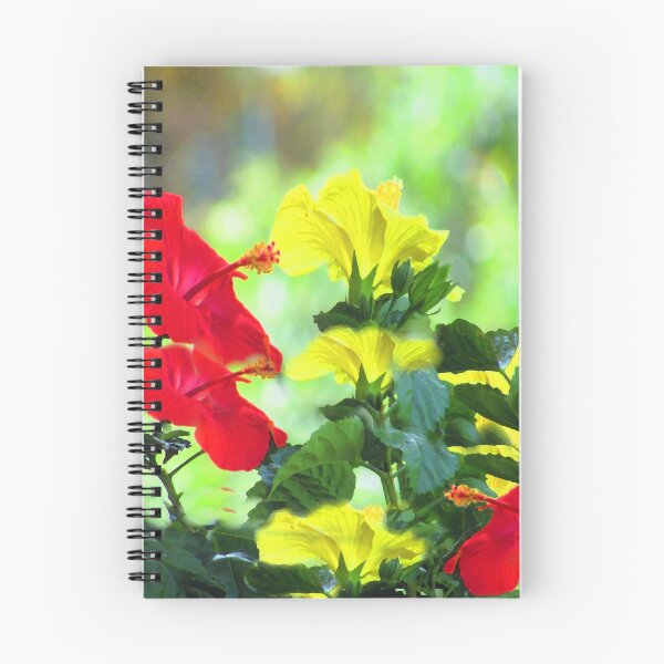 Aperçu de l'œuvre Hibiscus rouge et jaune créée et vendue par MyWeb.