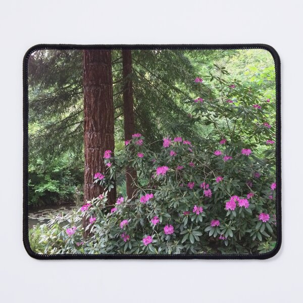 Item preview, Rhodie and Redwood designed and sold by bryanmcclelland.