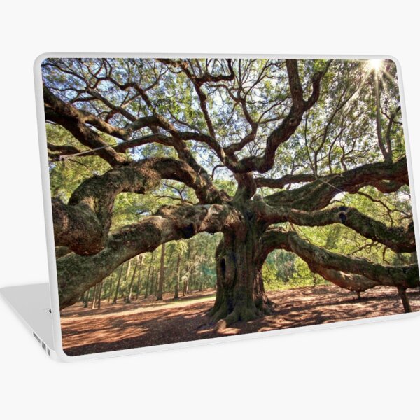 Item preview, The Angel Oak designed and sold by Christine Annas.