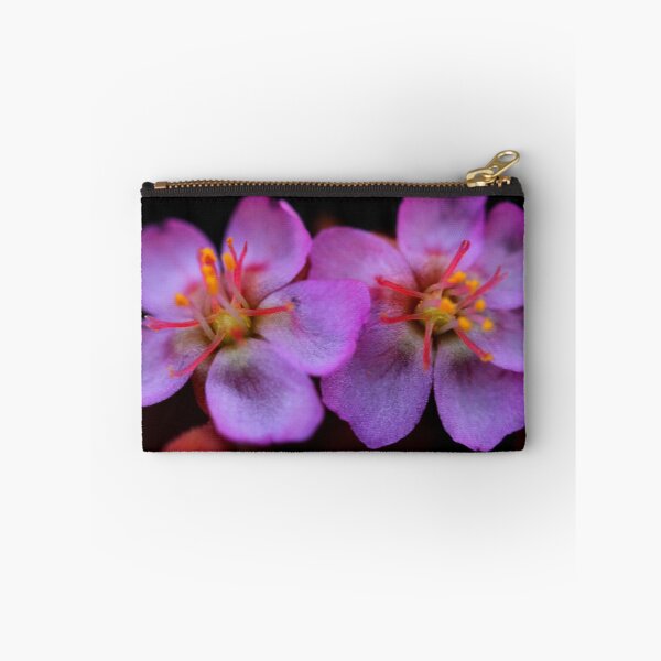 Item preview, Drosera spatulata designed and sold by andrachne.