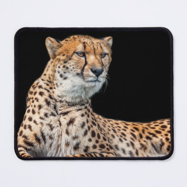 Artikelvorschau, Gepard-Alarm entworfen und verkauft von NaturallyArt.