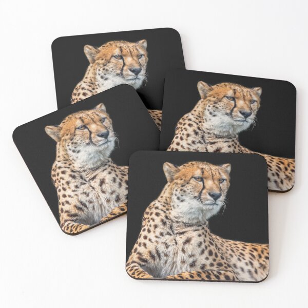 Item preview, Cheetah Alert designed and sold by NaturallyArt.