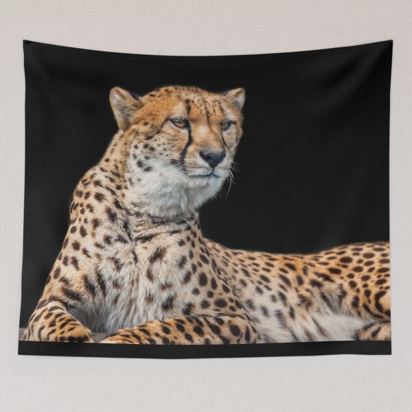 Artikelvorschau, Gepard-Alarm entworfen und verkauft von NaturallyArt.