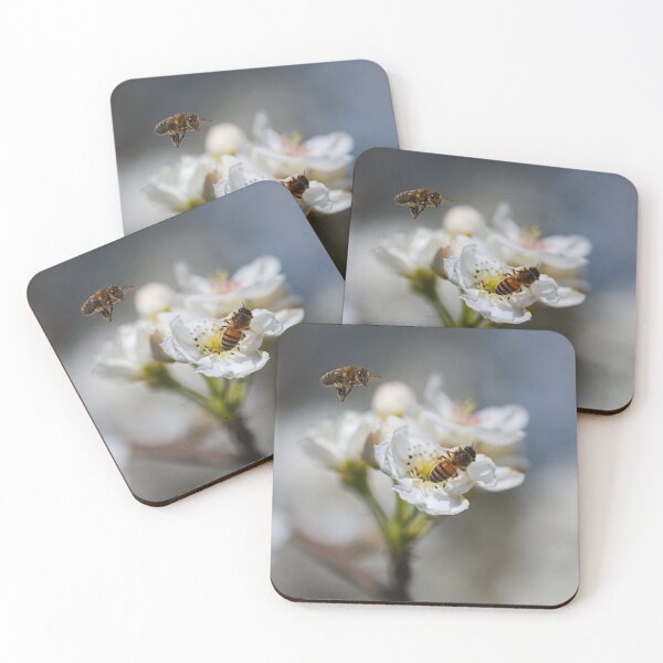 Item preview, Bee About To Land Nashi Flower designed and sold by Joy Watson - Natural Light Photography .