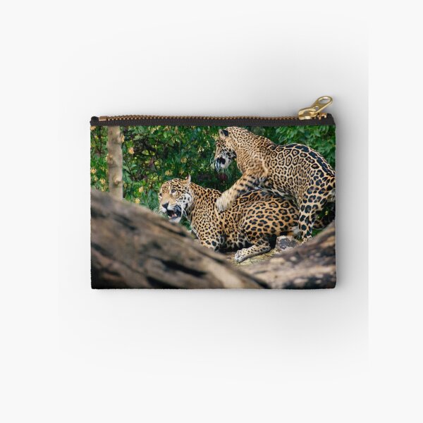 Item preview, Come On Big Boy....Lets Play.......... designed and sold by TeresaB.