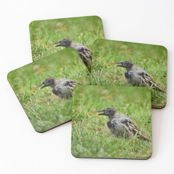 Item preview, Trashfood Crow. Hooded crow designed and sold by Jouko Lehto Photography.