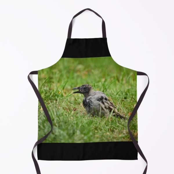 Item preview, Trashfood Crow. Hooded crow designed and sold by Jouko Lehto Photography.