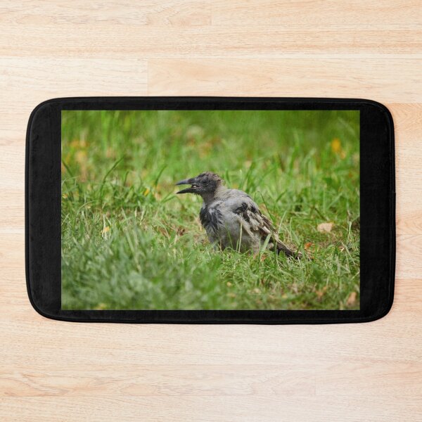 Item preview, Trashfood Crow. Hooded crow designed and sold by Jouko Lehto Photography.