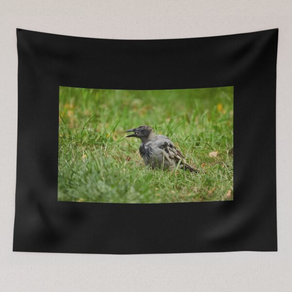 Item preview, Trashfood Crow. Hooded crow designed and sold by Jouko Lehto Photography.