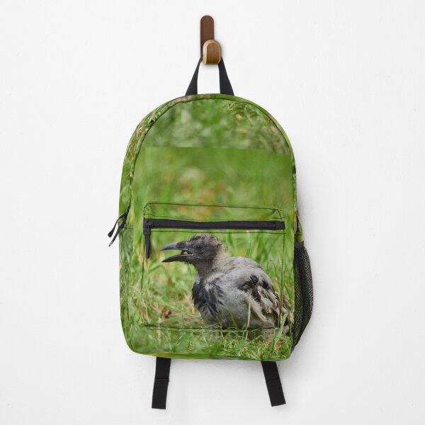 Item preview, Trashfood Crow. Hooded crow designed and sold by Jouko Lehto Photography.