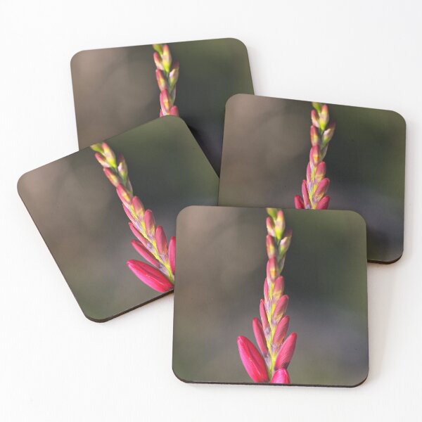 Item preview, Tall Bloom Ixia  designed and sold by Joy Watson - Natural Light Photography .