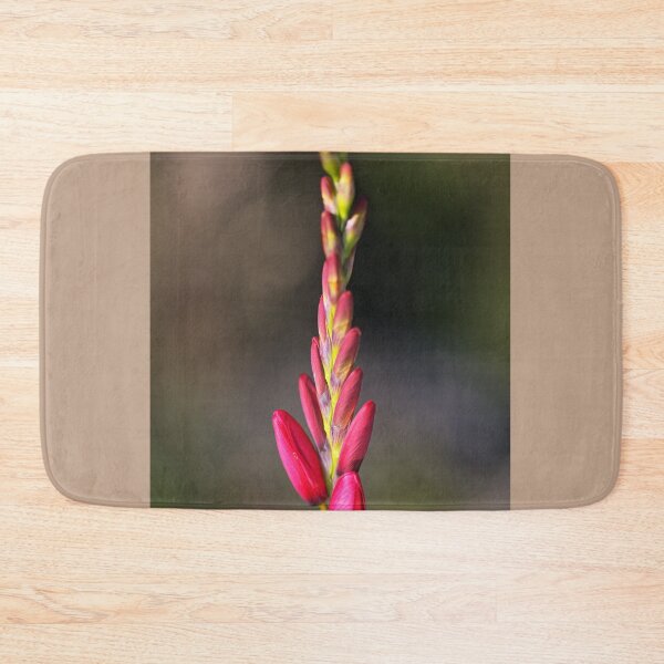 Item preview, Tall Bloom Ixia  designed and sold by Joy Watson - Natural Light Photography .