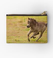 Wheeeeeeeeeeeee.............. Studio Pouch