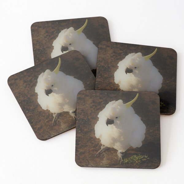 Item preview, Balled Up Cockatoo designed and sold by Annalucia.