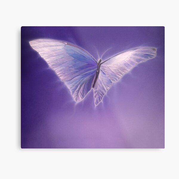 Aurora Metal Print