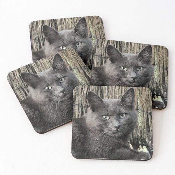 Item preview, r3045/    Chat-Cat  " le Grisous Bien aimé "  finition 2020 par Okaio Créations - Olavia&Olao  designed and sold by o.okaïo.