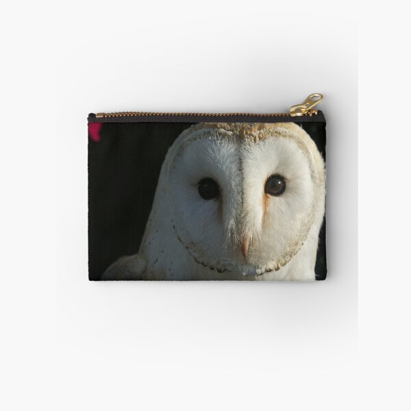Item preview, Barn Owl Staring designed and sold by davidelder.