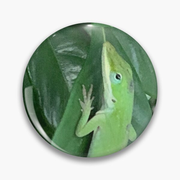 Artikelvorschau, Grüne Anole entworfen und verkauft von baksuart.