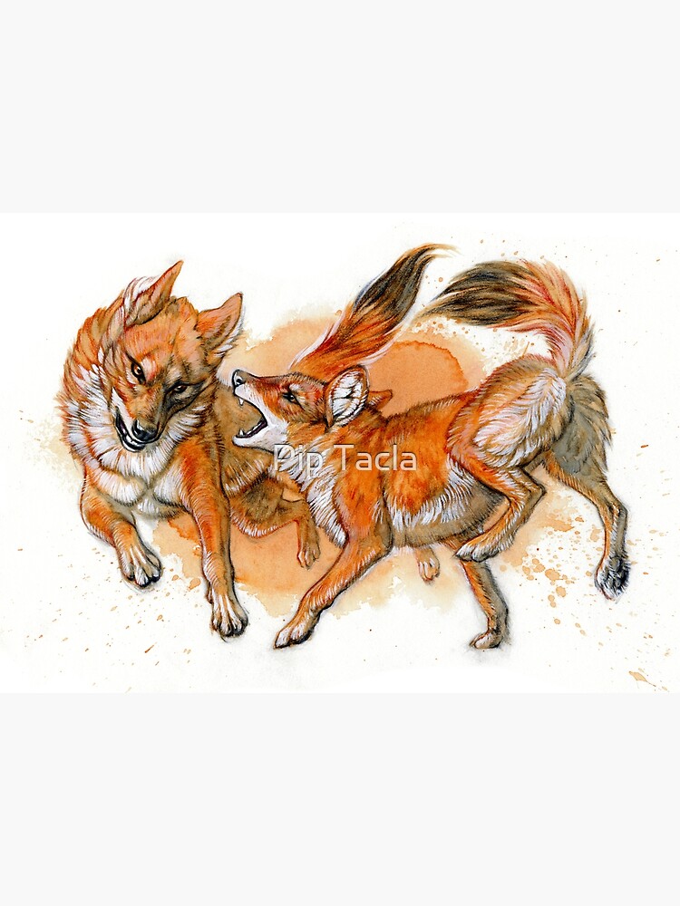 Fighting Dholes (Asiatic Wild Dogs) by antarcticpip
