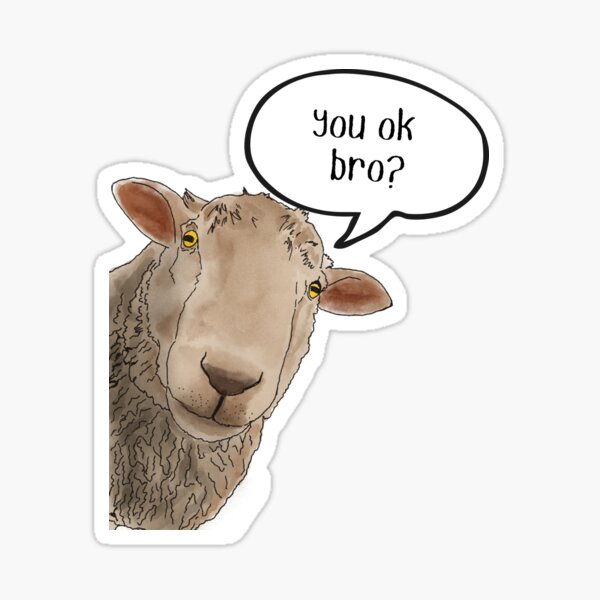 You Ok Bro - Funny Sheep You Ok Bro - Funny Sheep