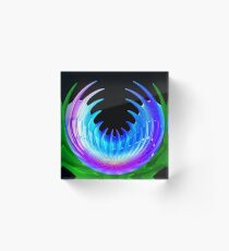 Venus Fly Trap Acrylic Block