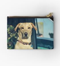 Designated Driver Studio Pouch
