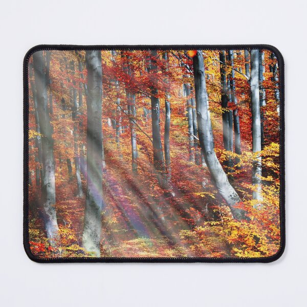 Item preview, Autumn is Here - Woodland Scene designed and sold by JulieSouster.