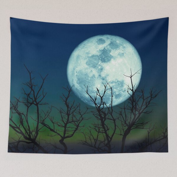 Item preview, Full Moon With Beautiful Background designed and sold by JTS STORE.