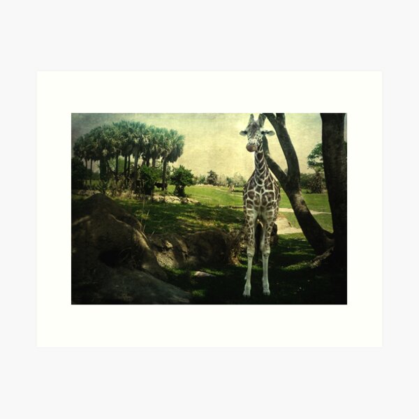 I Thought You Always Wanted To Be a Giraffe Art Print