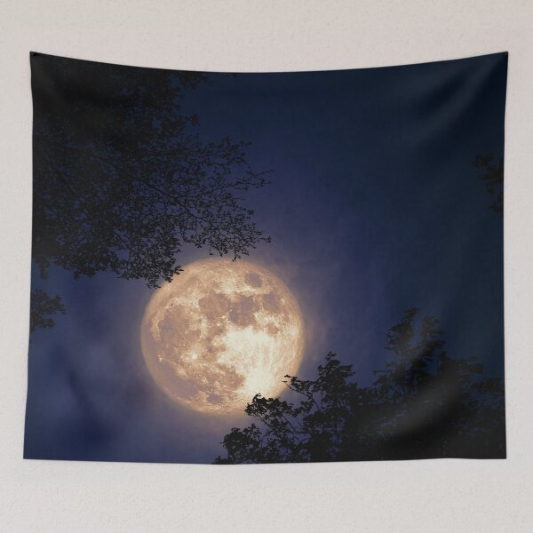 Item preview, Full Moon With Leaf And Sky Background designed and sold by JTS STORE.
