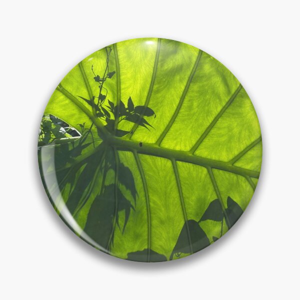 Item preview, Plant Silhouettes through a Green Leaf designed and sold by Sinemathk.