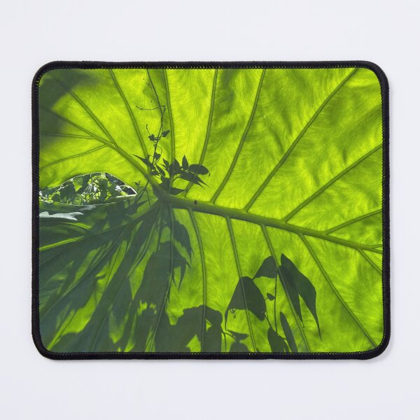 Item preview, Plant Silhouettes through a Green Leaf designed and sold by Sinemathk.