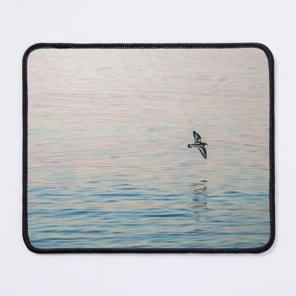 Item preview, Oystercatcher at Dawn No 2 designed and sold by Brooke T Ryan Photographic Art.