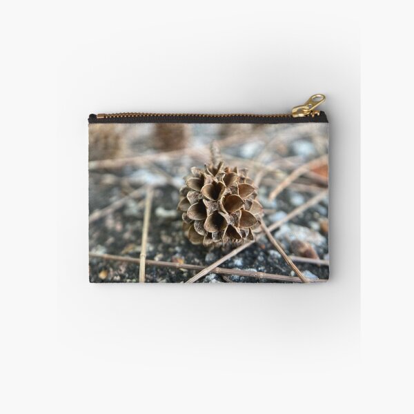 Item preview, Australian Pine Tree Seed designed and sold by Sinemathk.