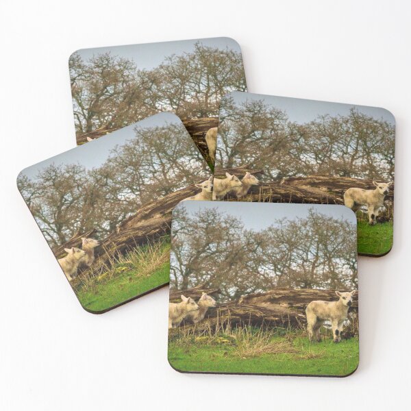 Item preview, Three young sheep graze in the meadow designed and sold by AlbertMi.