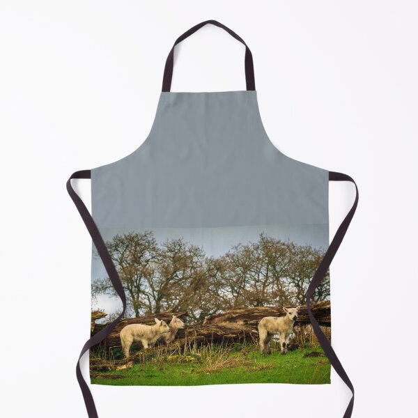 Item preview, Three young sheep graze in the meadow designed and sold by AlbertMi.
