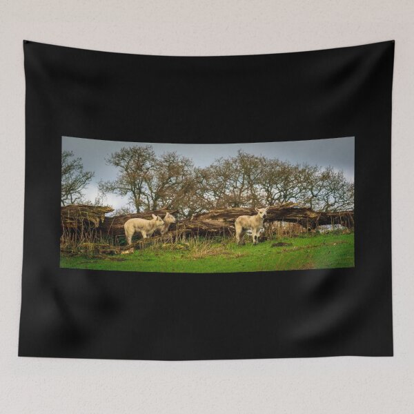 Item preview, Three young sheep graze in the meadow designed and sold by AlbertMi.