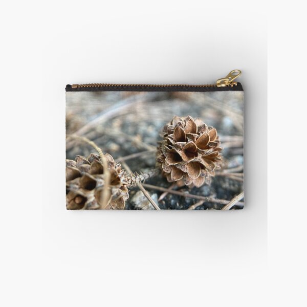 Item preview, Australian Pine Tree Seed designed and sold by Sinemathk.
