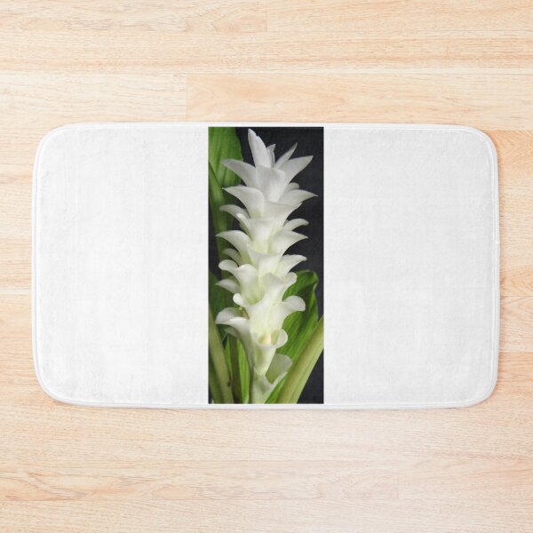 Item preview, Buachan Kao Dutch tulip-like Ginger planted by tubers found in northern Thailand designed and sold by greengoodnich.