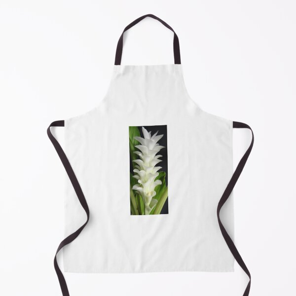 Item preview, Buachan Kao Dutch tulip-like Ginger planted by tubers found in northern Thailand designed and sold by greengoodnich.