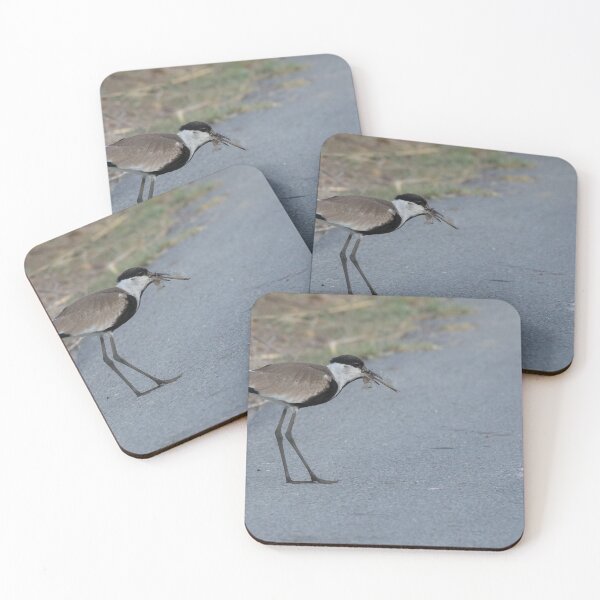 Item preview, Spur Winged Lapwing designed and sold by LaurenTucker.
