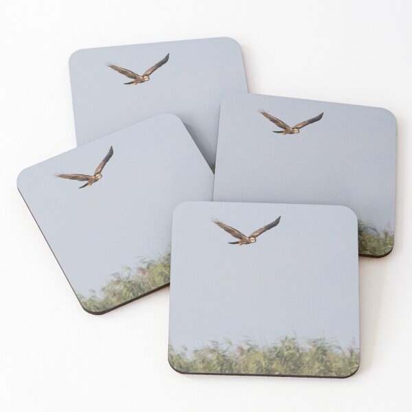 Item preview, Marsh Harrier designed and sold by LaurenTucker.