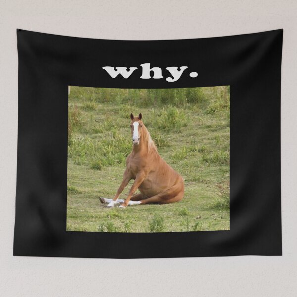 Item preview, why. designed and sold by Sheeshy.