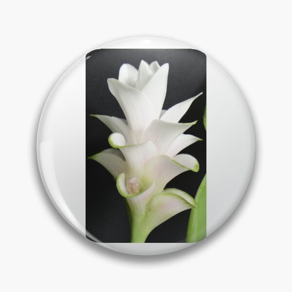 Item preview, Tulip-like: Curcuma flowers in a vase Can be decorated anywhere, anytime. Thailand export designed and sold by greengoodnich.