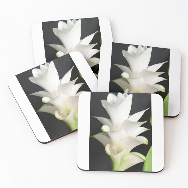 Item preview, Tulip-like: Curcuma flowers in a vase Can be decorated anywhere, anytime. Thailand export designed and sold by greengoodnich.