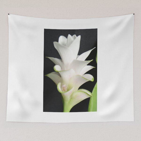 Item preview, Tulip-like: Curcuma flowers in a vase Can be decorated anywhere, anytime. Thailand export designed and sold by greengoodnich.